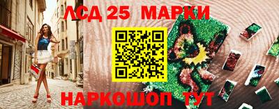 амф Бердск
